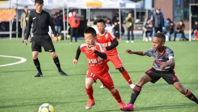 幌舞作为煤矿产地曾富贵过，无奈当今生齿衰减。幌舞支线也决议行将废线，遏制利用。佐藤乙松（高仓健饰）是北海道处所支线幌舞车站的站长，乙松天天得独自大责剪票，用小旗批示列车进站、出站，打扫车站内部和其他琐碎工作。                                  老同事杉浦仙次拜访幌舞车站，想游说乙松在退休后，和他一路往渡假村工作，可是遭到乙松的谢绝，他坚信不移地用生命陪同着铁路。因为苦守岗亭，17年前夭折的女儿